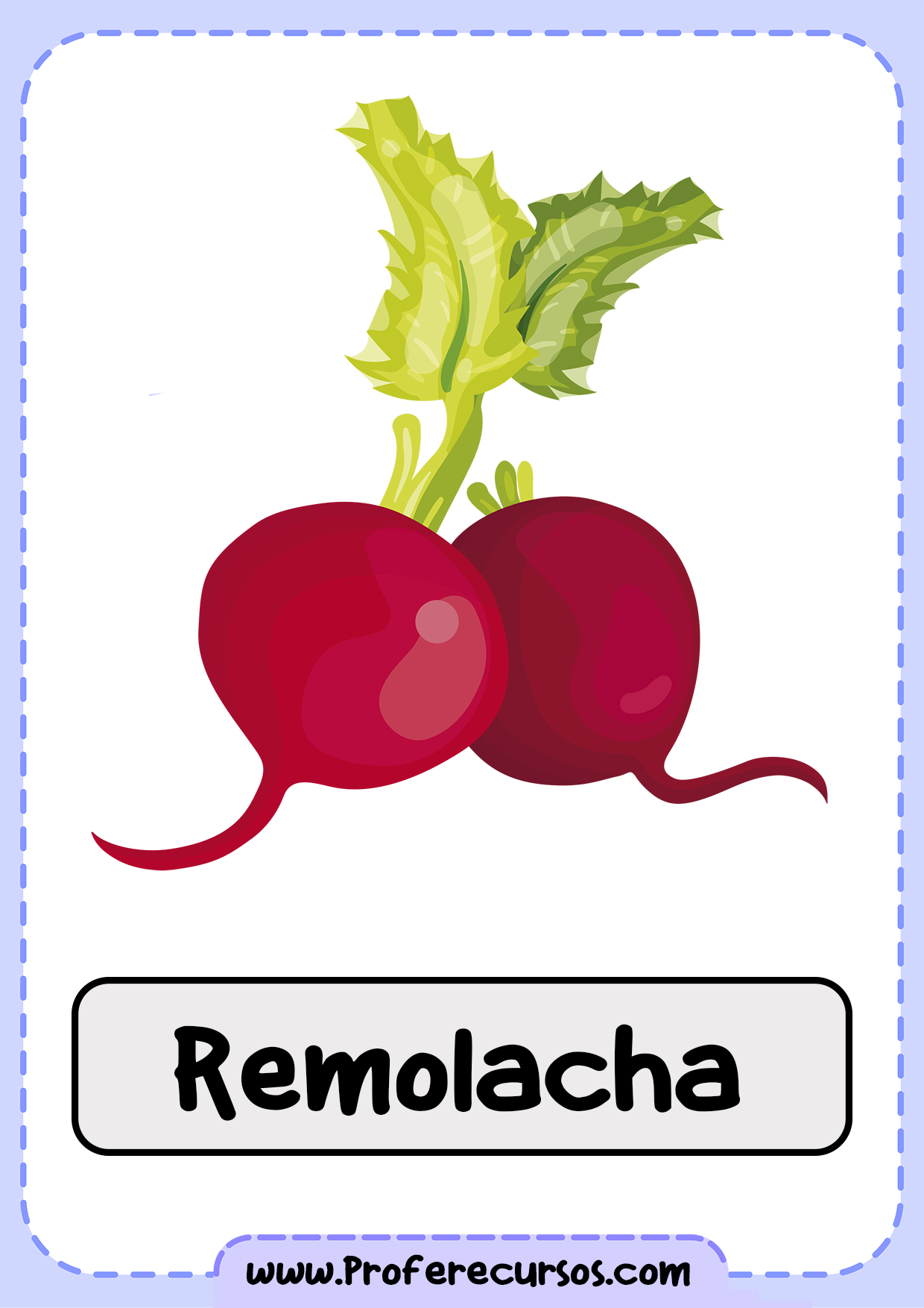 Vocabulario-Verduras-Vegetales-Remolacha