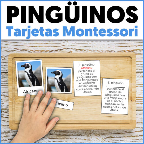 Vocabulario de los pinguinos