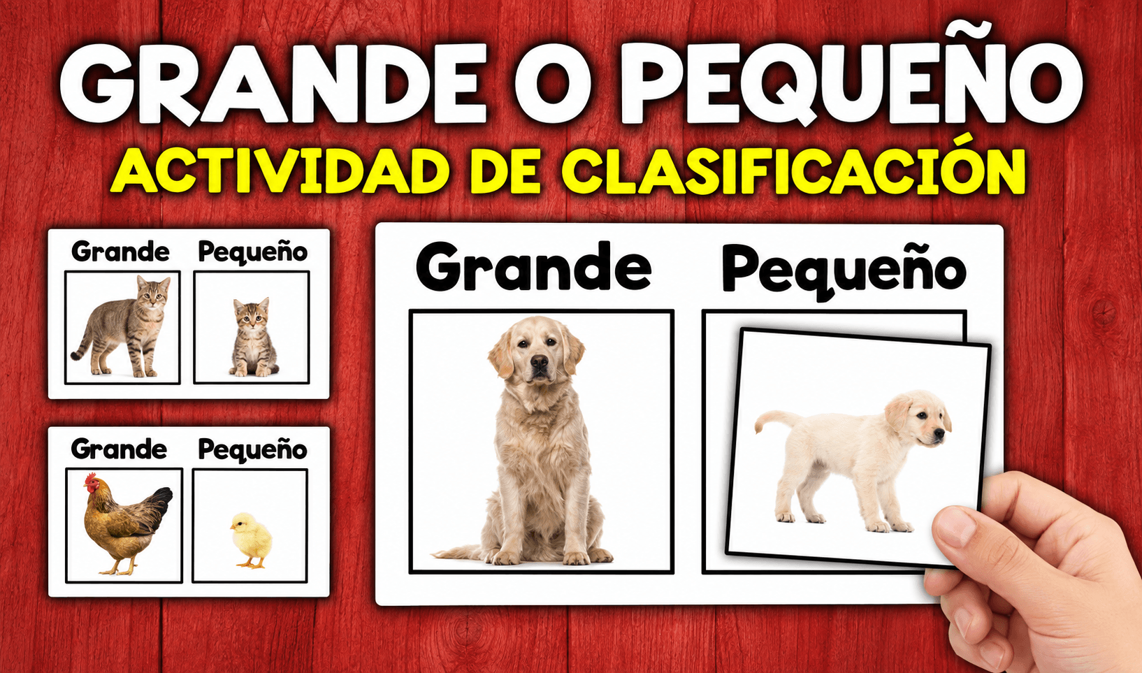 Actividad para clasificar tamaños en infantil | Grande o Pequeño Actividades de vuelta al cole en espanol - Actividad para clasificar tamaños en infantil | Grande o Pequeño