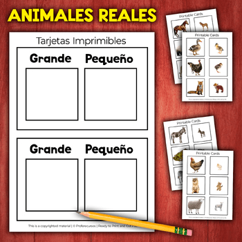 Imagen 2 del recurso de TPT