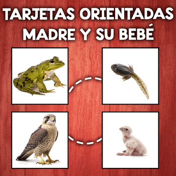 Imagen 4 del recurso de TPT