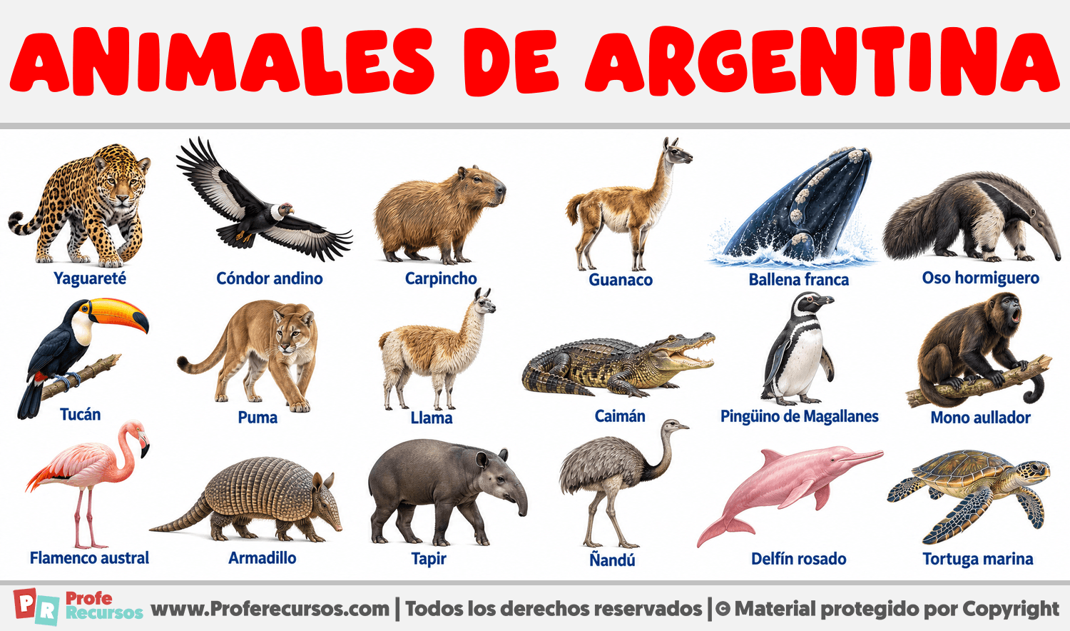 Animales de Argentina Infografia sobre Animales de Argentina