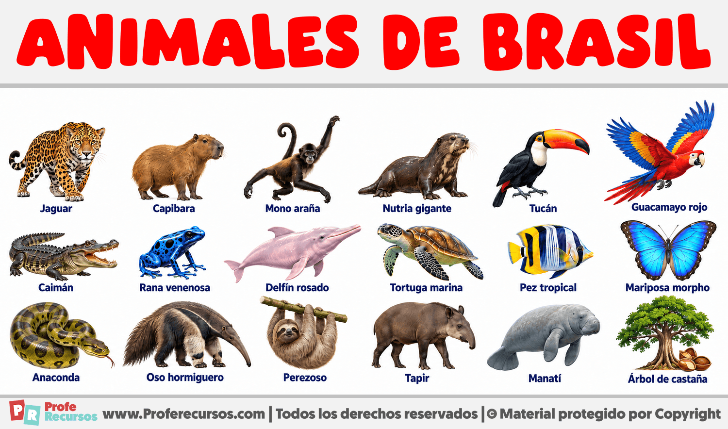 Animales de Brasil Infografia sobre Animales de Brasil