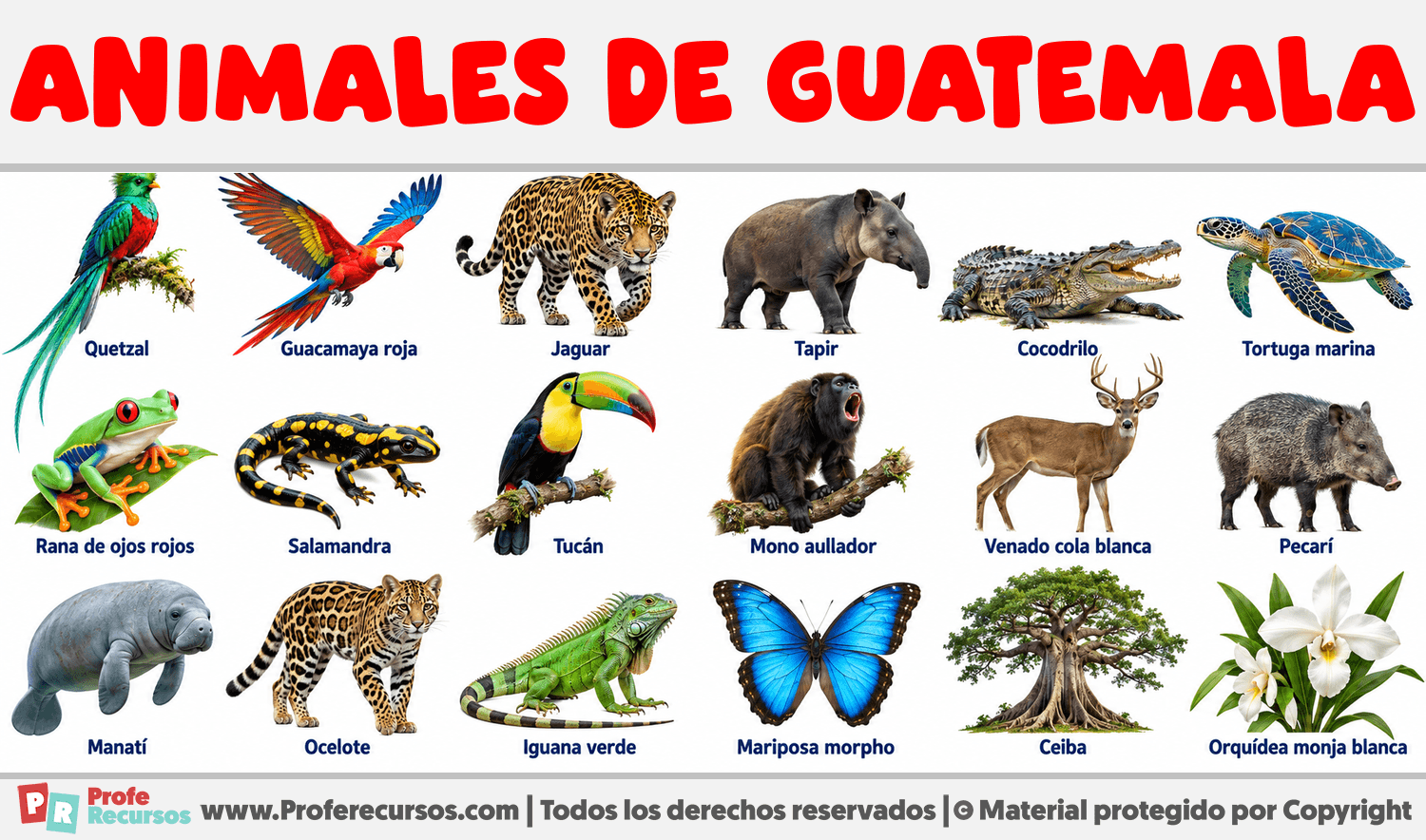 Animales de Guatemala Infografia sobre Animales de Guatemala