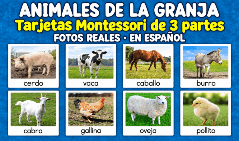 Animales de la Granja Tarjetas Flashcards Montessori Fotos reales