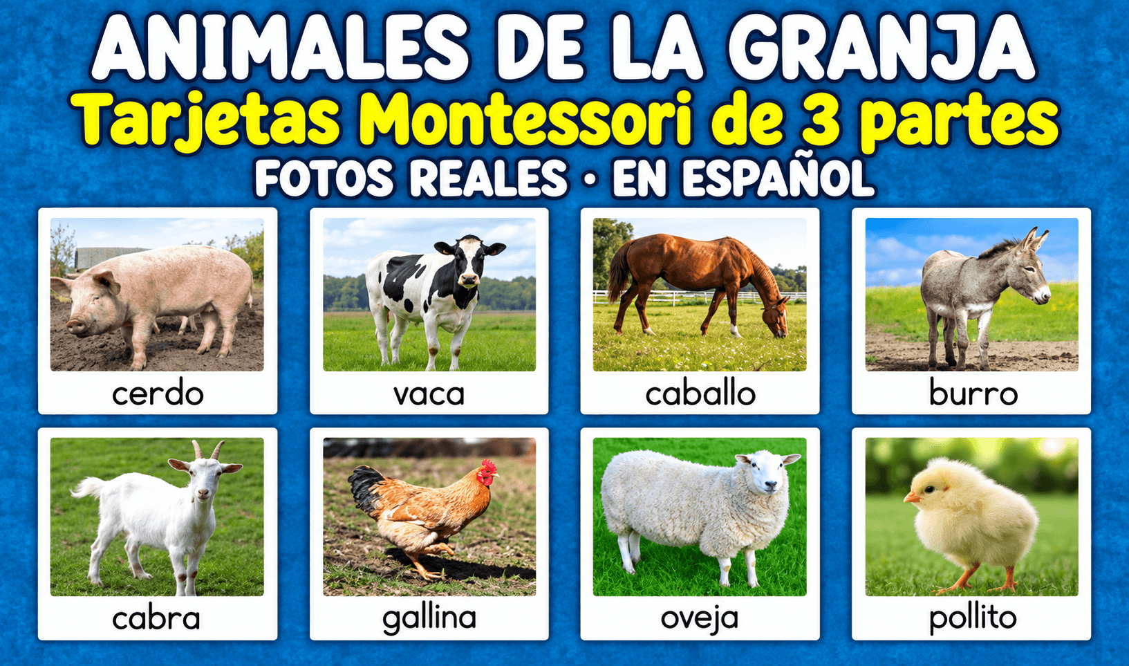 Animales de la Granja Tarjetas Flashcards Montessori Fotos reales Actividades de vuelta al cole en espanol - Animales de la Granja Tarjetas Flashcards Montessori Fotos reales