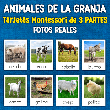 Imagen 1 del recurso de TPT Imagen 1 del recurso de TPT