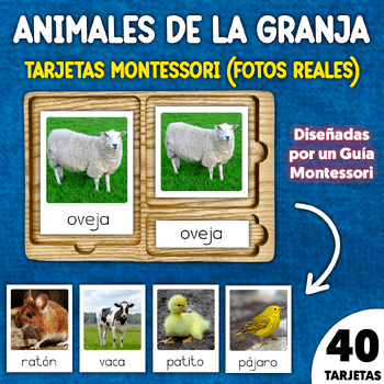 Imagen 3 del recurso de TPT Imagen 3 del recurso de TPT