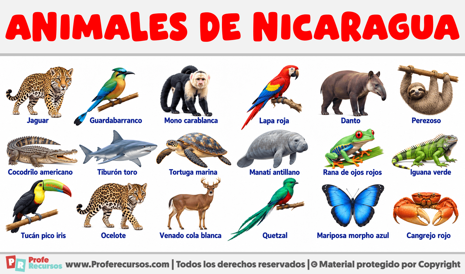 Animales de Nicaragua Infografia sobre Animales de Nicaragua