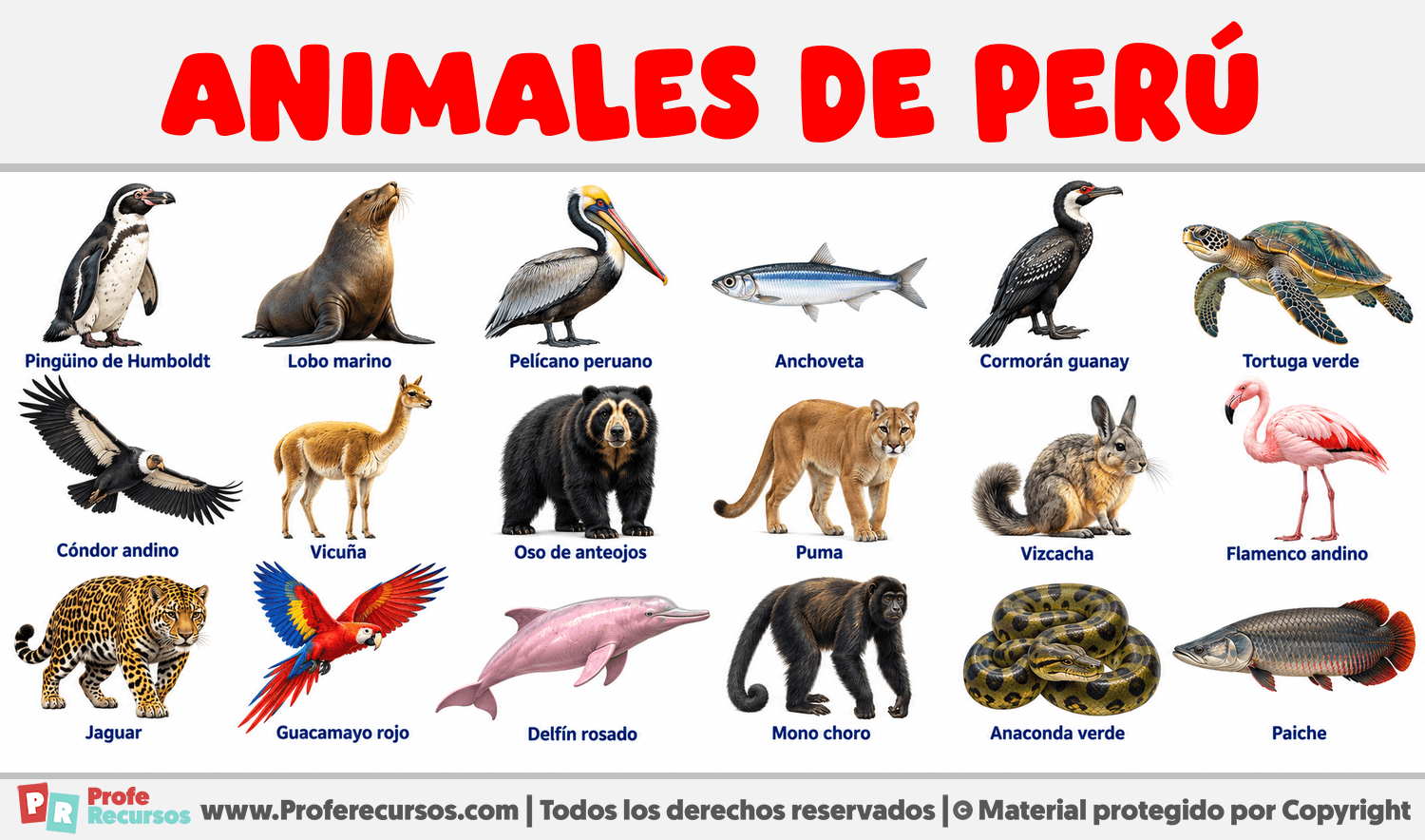 Animales de Perú Infografia sobre Animales de Perú