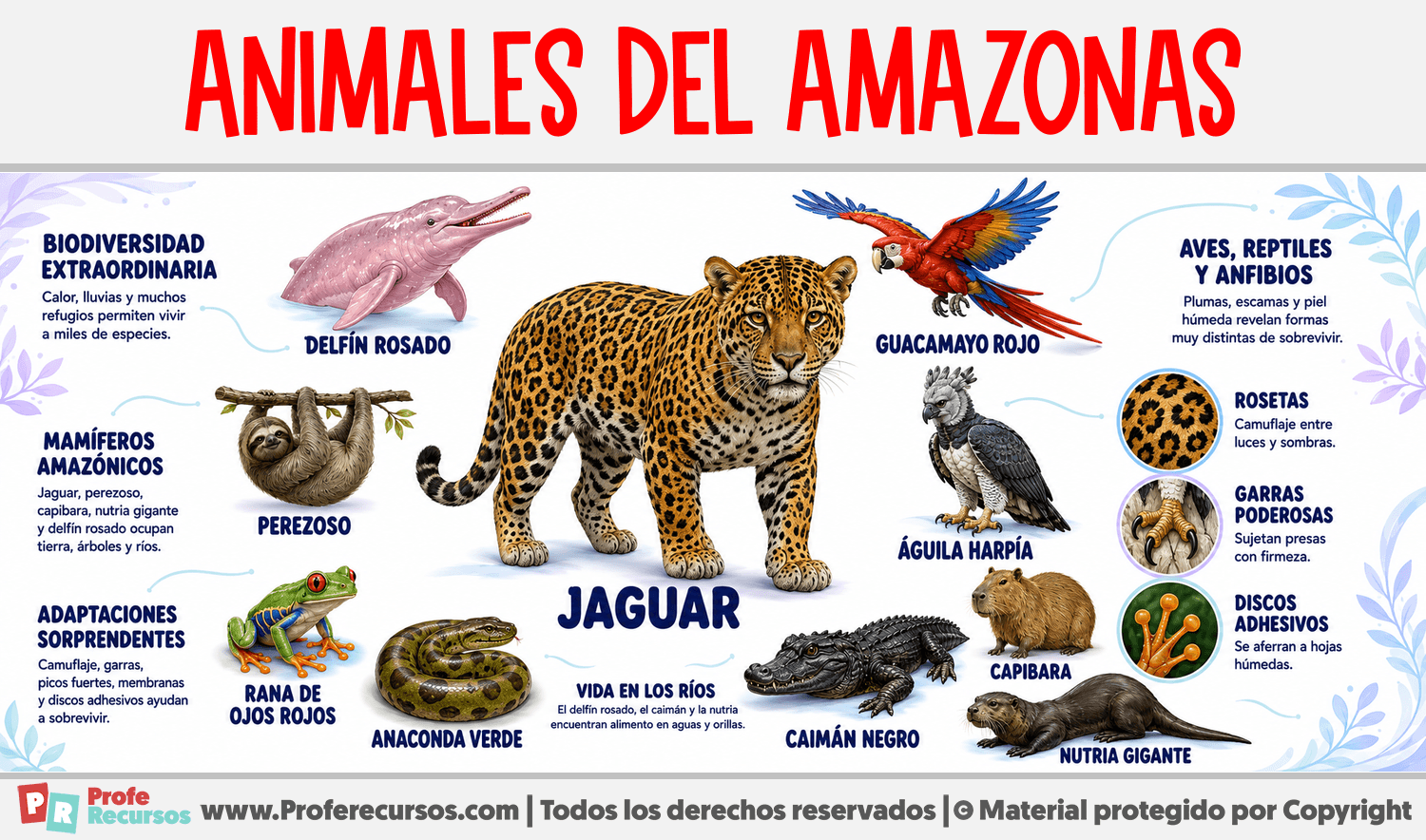 Infografia sobre Animales del Amazonas