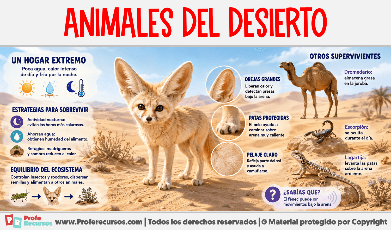 Animales del Desierto Infografia sobre Animales del Desierto