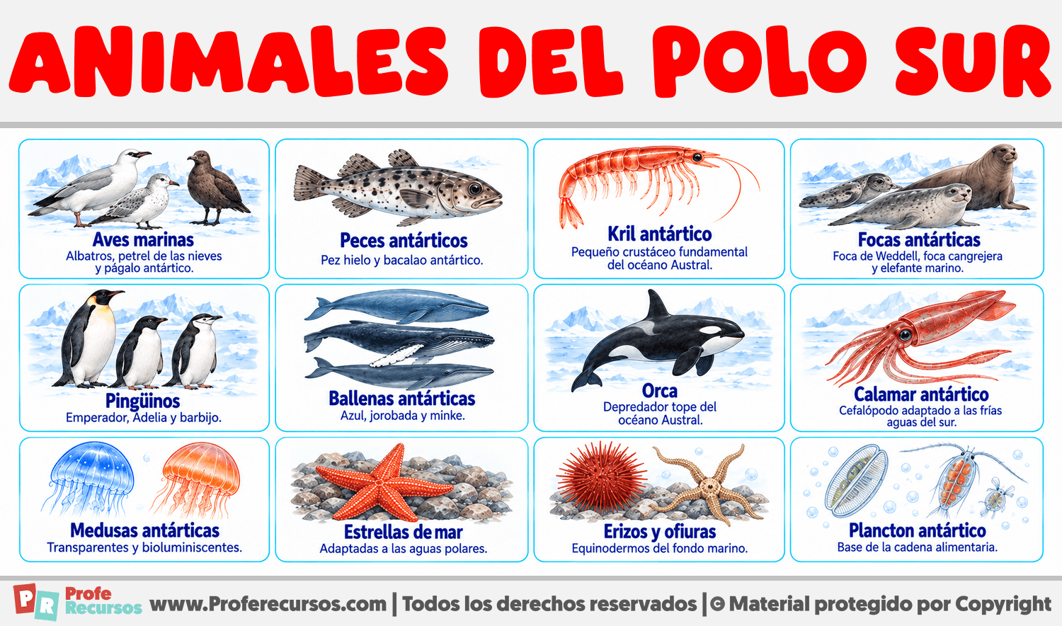 Animales del Polo Sur Infografia sobre Animales del Polo Sur