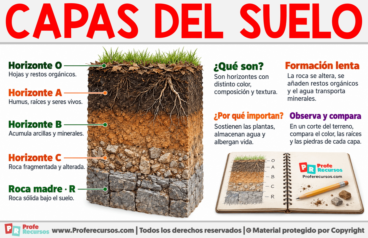 Capas del suelo Infografia sobre Capas del suelo