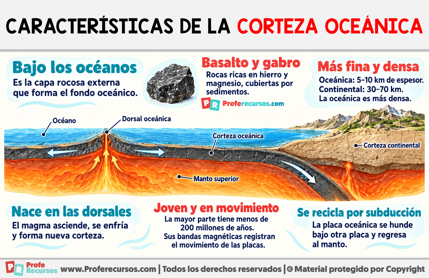 Características de la corteza oceánica Infografia sobre Características de la corteza oceánica