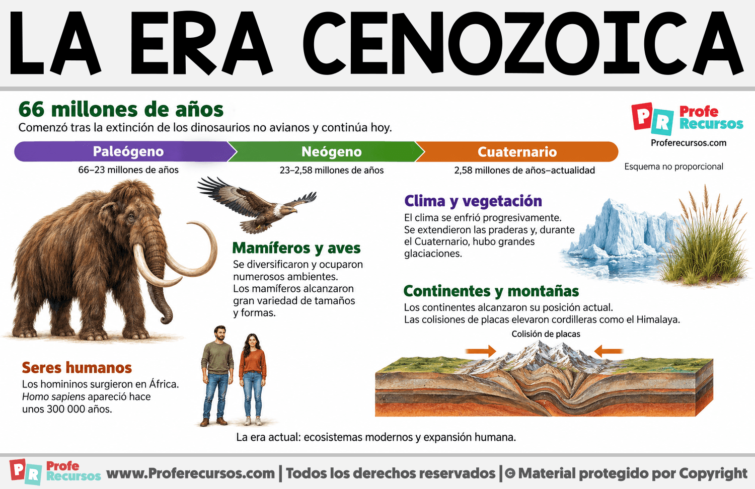 Características de la era Cenozoica Infografia sobre Características de la era Cenozoica