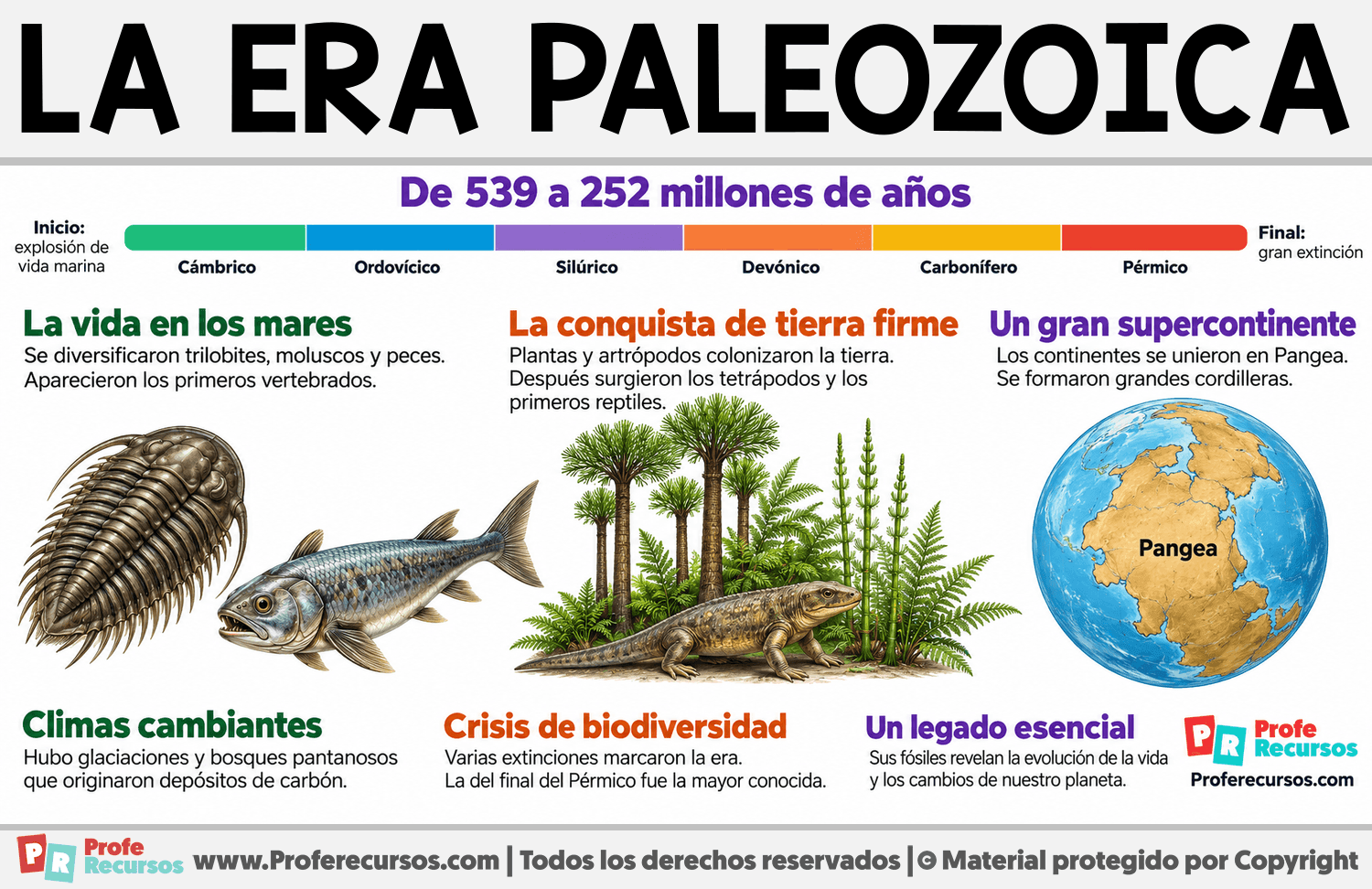 Características de la era Paleozoica Infografia sobre Características de la era Paleozoica