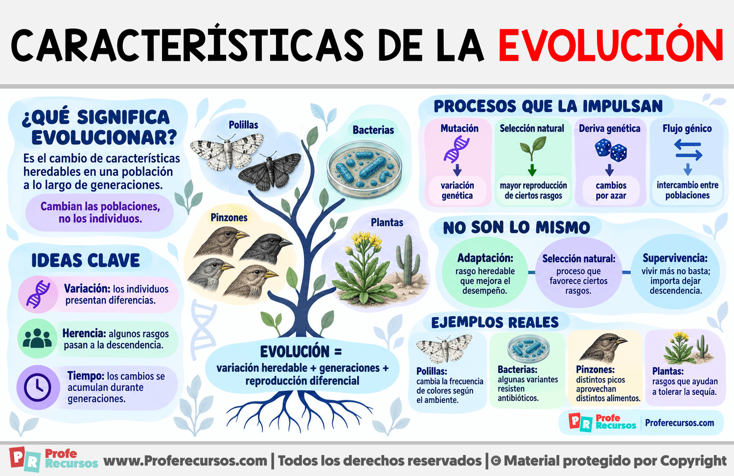 Características de la Evolución Infografia sobre Características de la Evolución