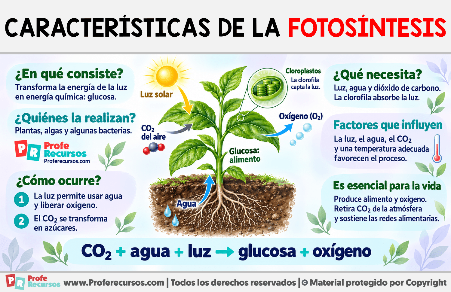 Características de la fotosíntesis Infografia sobre Características de la fotosíntesis