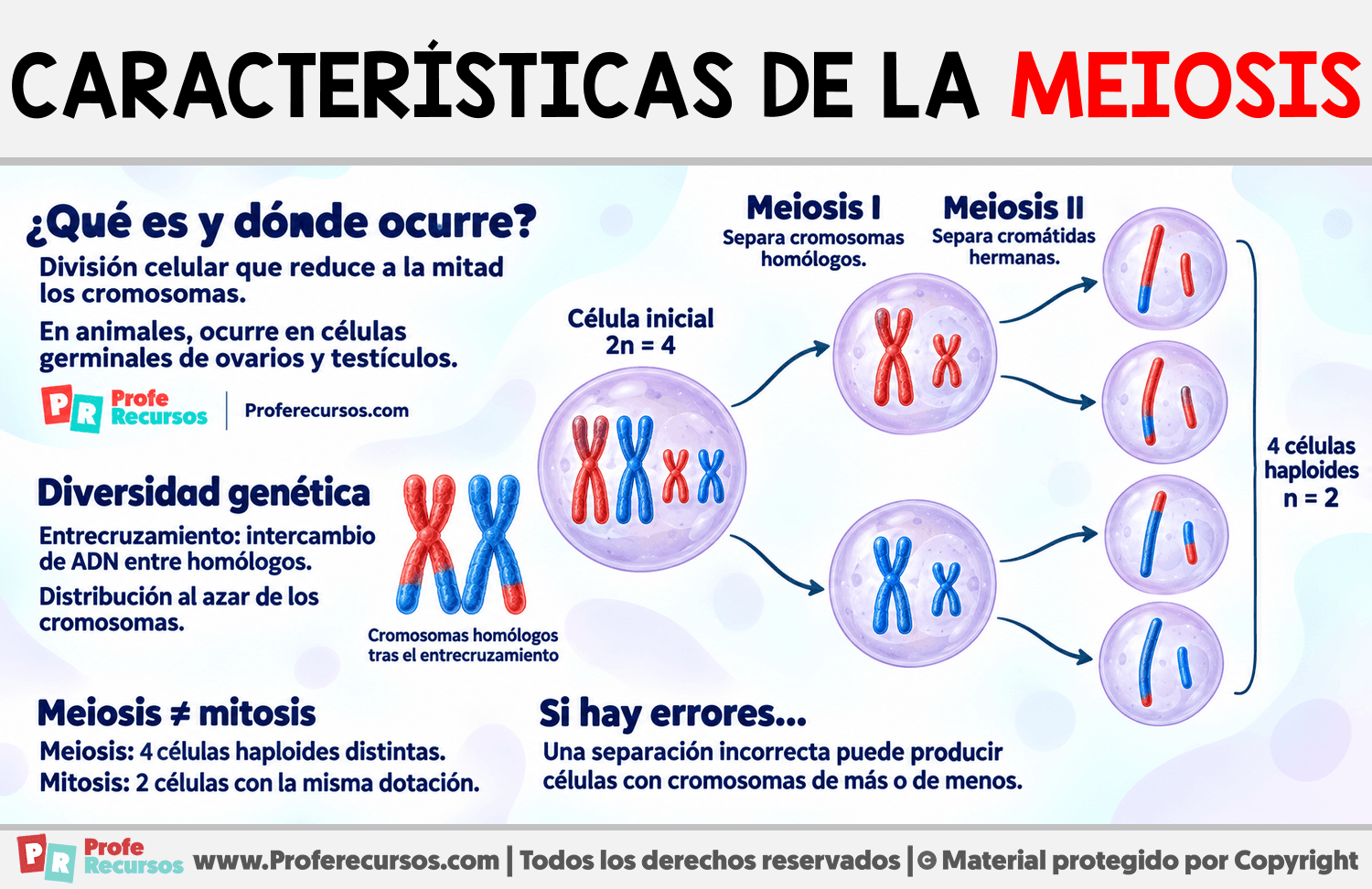Características de la Meiosis Infografia sobre Características de la Meiosis