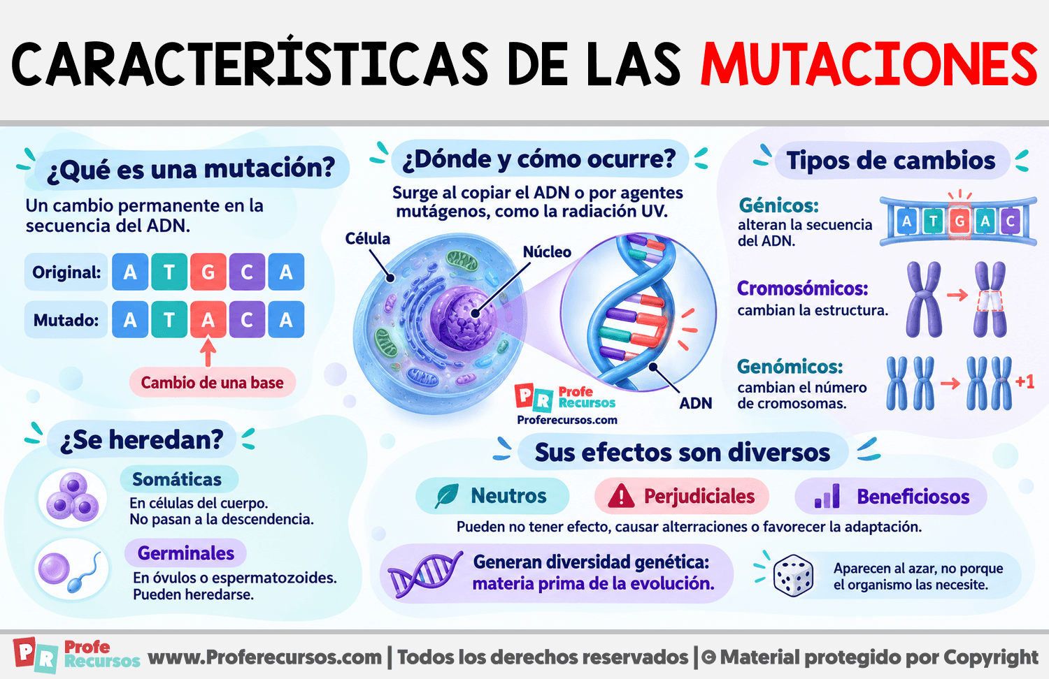 Características de las mutaciones Infografia sobre Características de las mutaciones