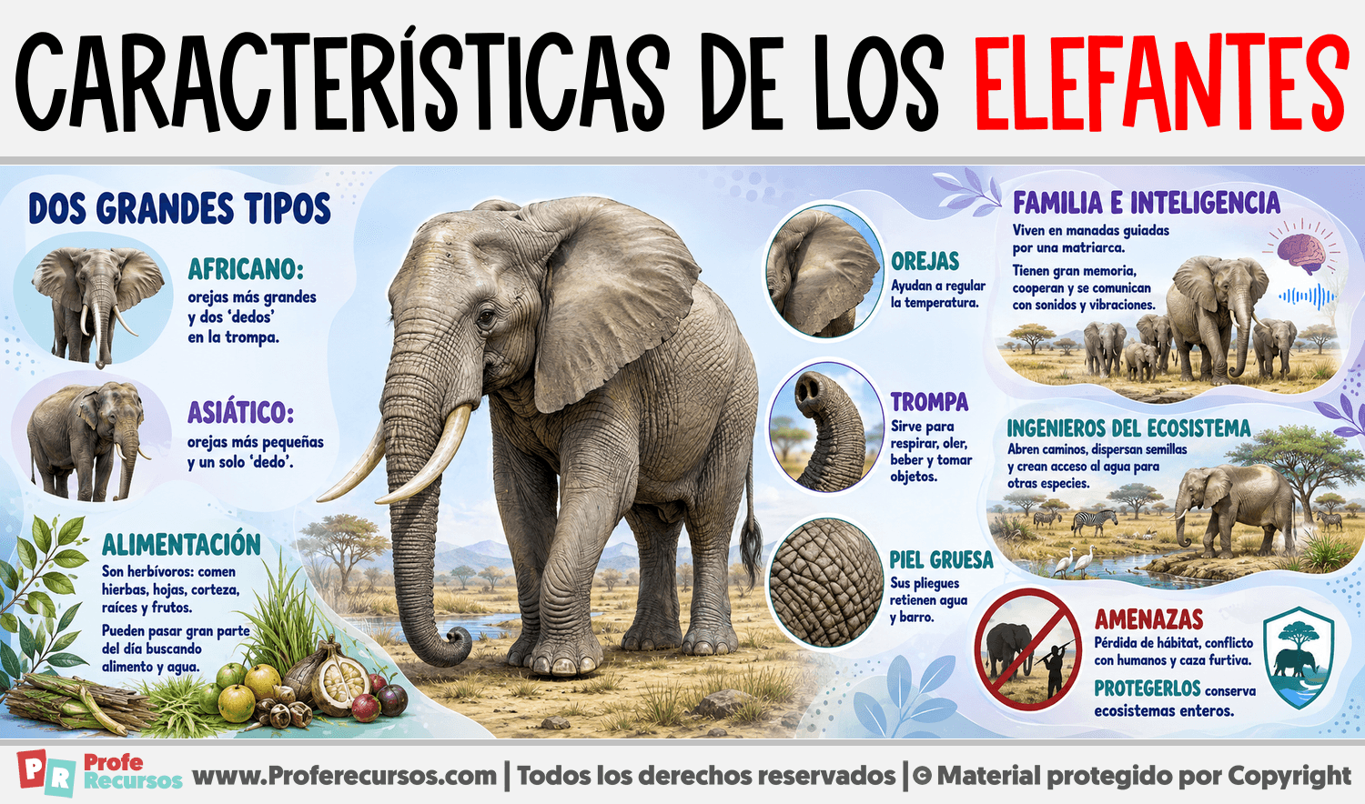 Características de los Elefantes Infografia sobre Características de los Elefantes