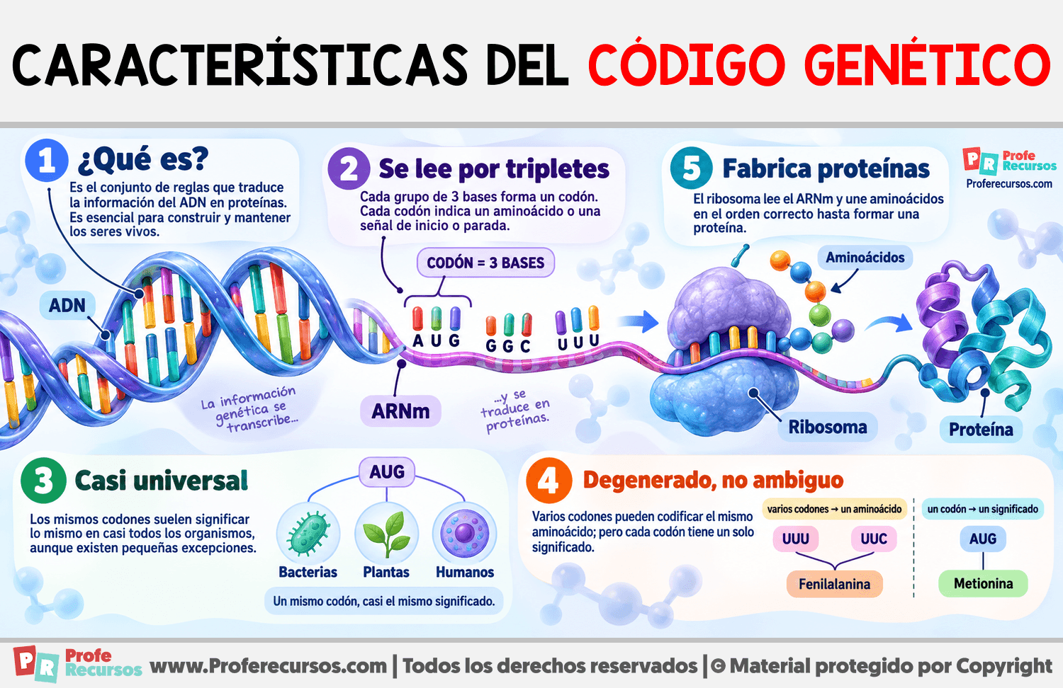 Características del Código Genético Infografia sobre Características del Código Genético