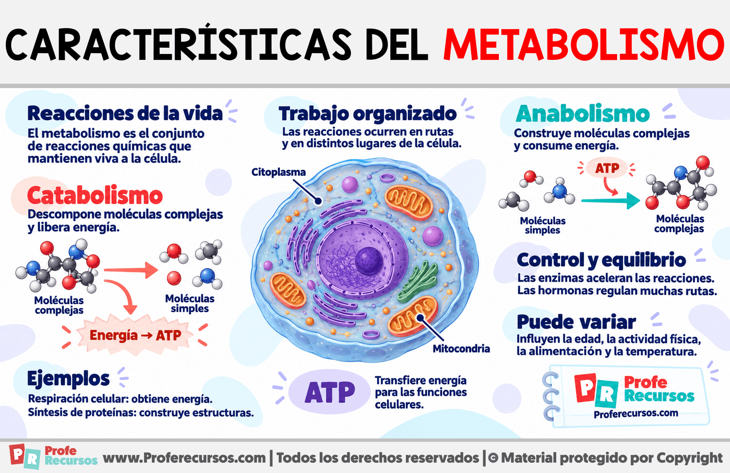 Características del metabolismo Infografia sobre Características del metabolismo
