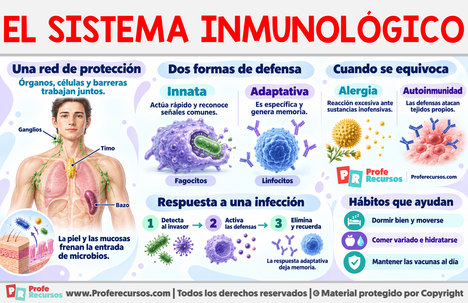 Características del Sistema Inmunológico Infografia sobre Características del Sistema Inmunológico
