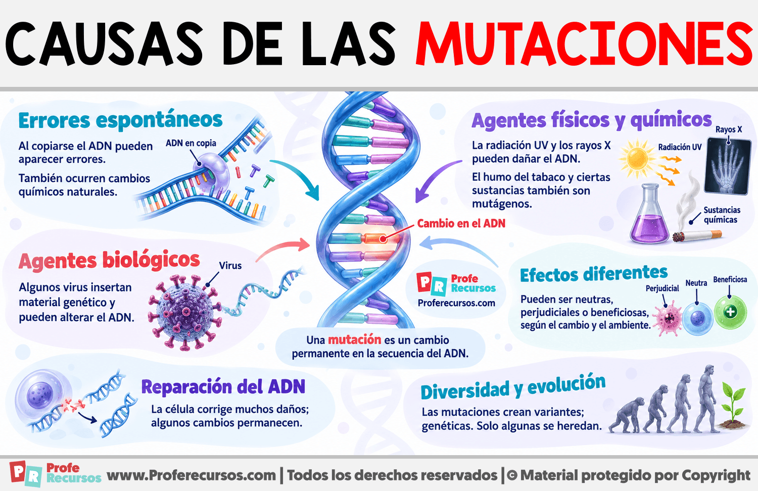 Causas de las mutaciones Infografia sobre Causas de las mutaciones
