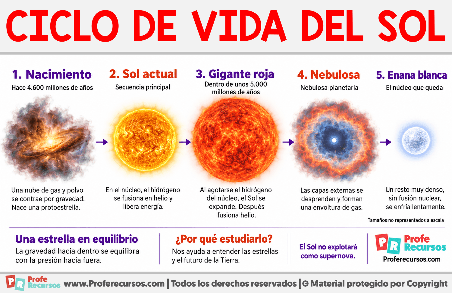 Ciclo de vida del Sol Infografia sobre Ciclo de vida del Sol