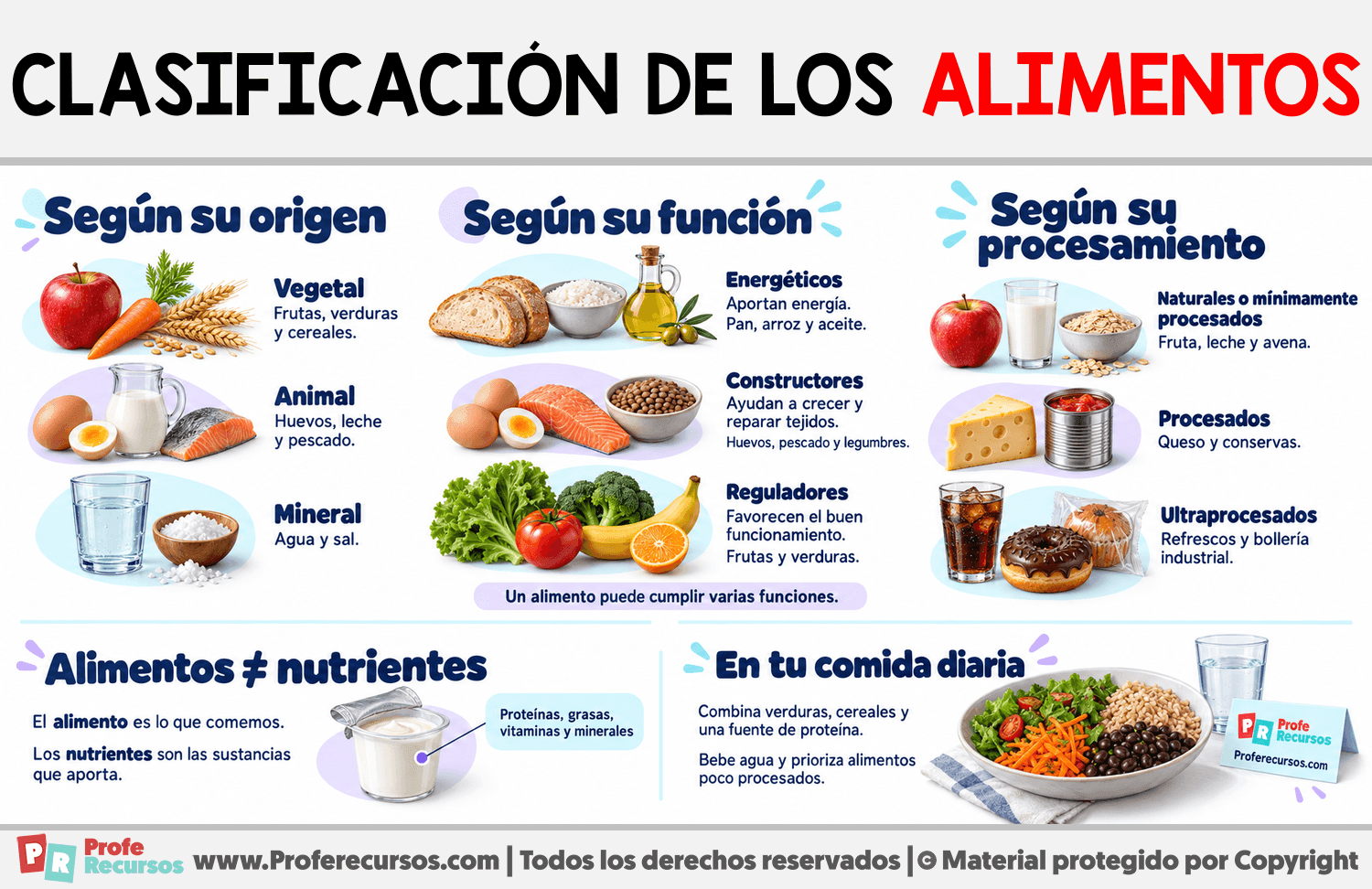 Clasificación de los Alimentos Infografia sobre Clasificación de los Alimentos
