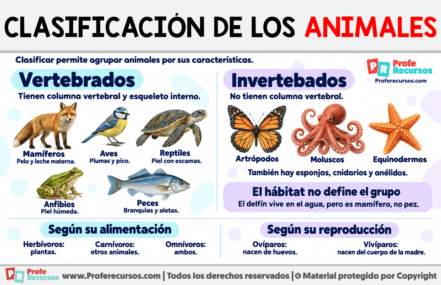 Clasificación de los Animales Infografia sobre Clasificación de los Animales