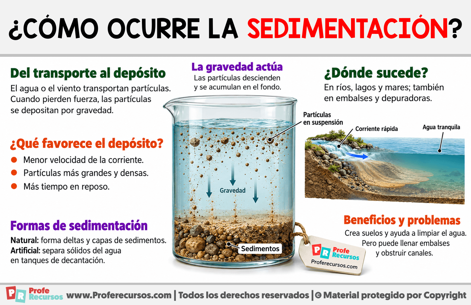 ¿Cómo ocurre la sedimentación? Infografia sobre ¿Cómo ocurre la sedimentación?