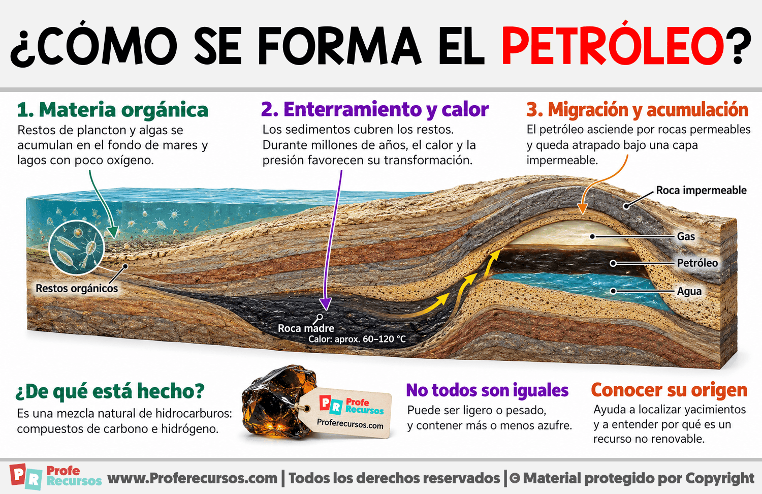 ¿Cómo se forma el petróleo? Infografia sobre ¿Cómo se forma el petróleo?