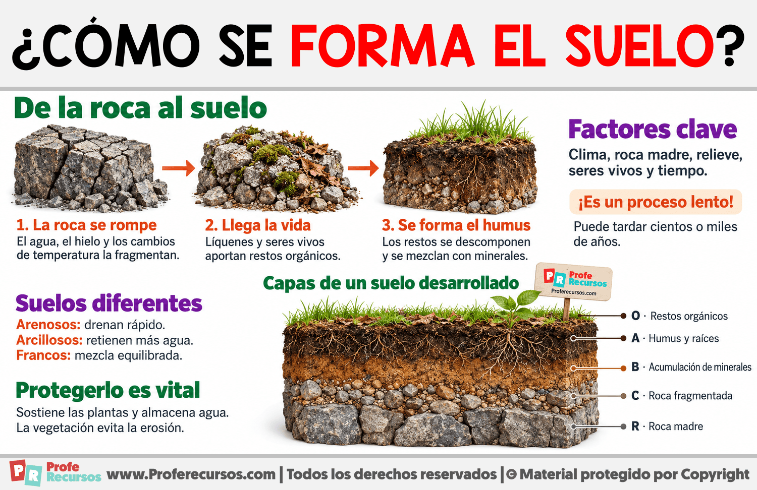 ¿Cómo se forma el suelo? Infografia sobre ¿Cómo se forma el suelo?