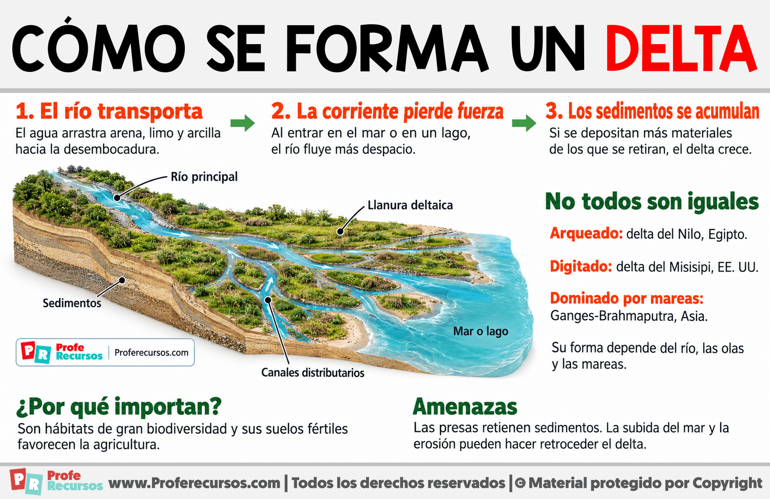 Cómo se forma un delta Infografia sobre Cómo se forma un delta