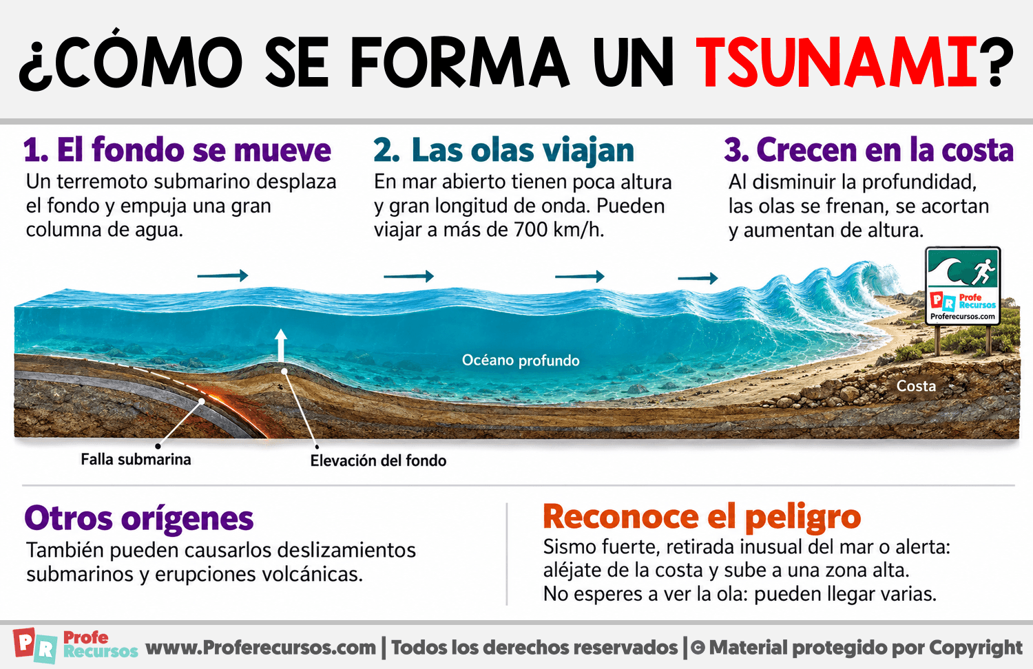 ¿Cómo se forma un tsunami? Infografia sobre ¿Cómo se forma un tsunami?