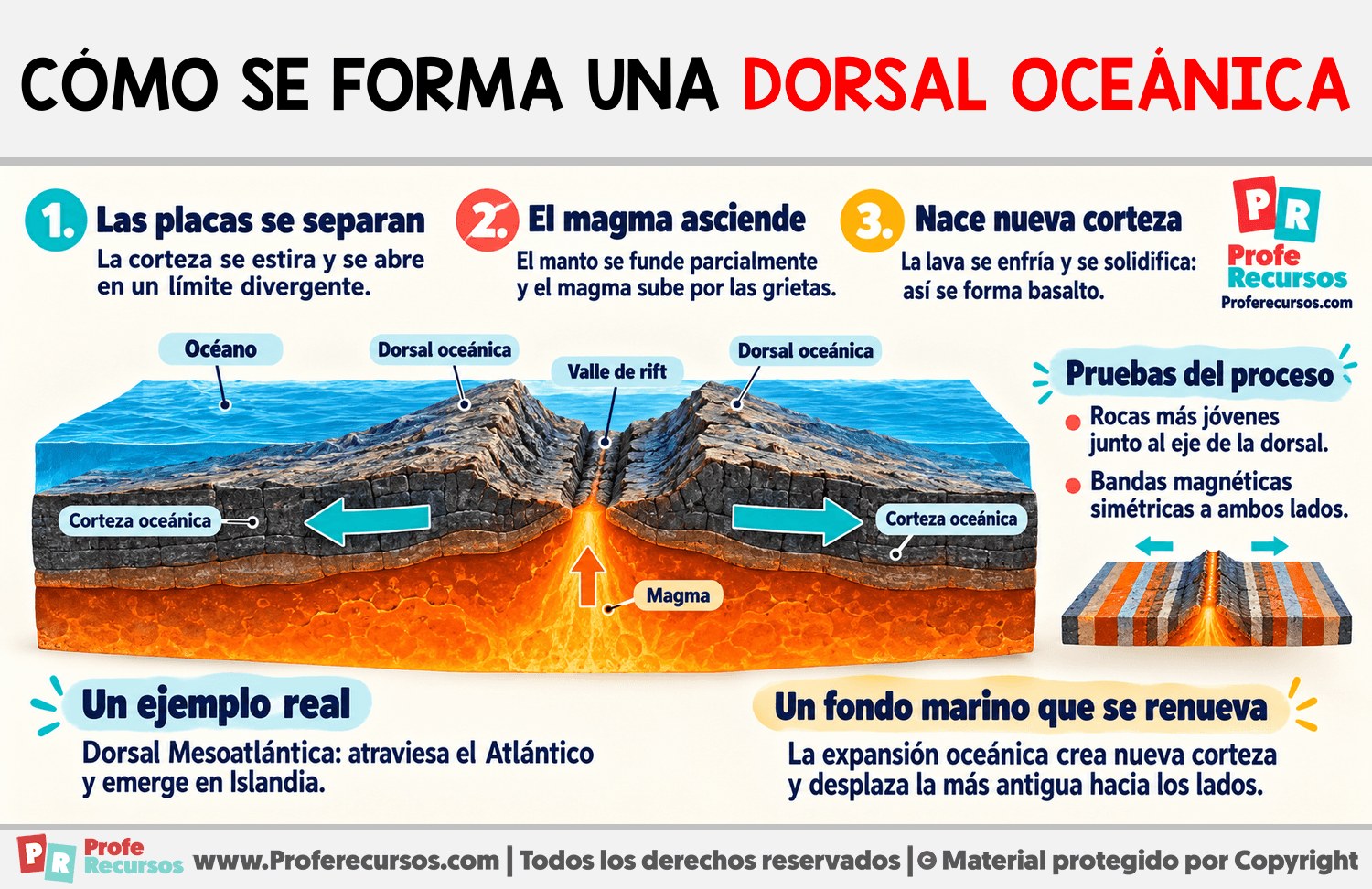 Cómo se forma una dorsal oceánica Infografia sobre Cómo se forma una dorsal oceánica