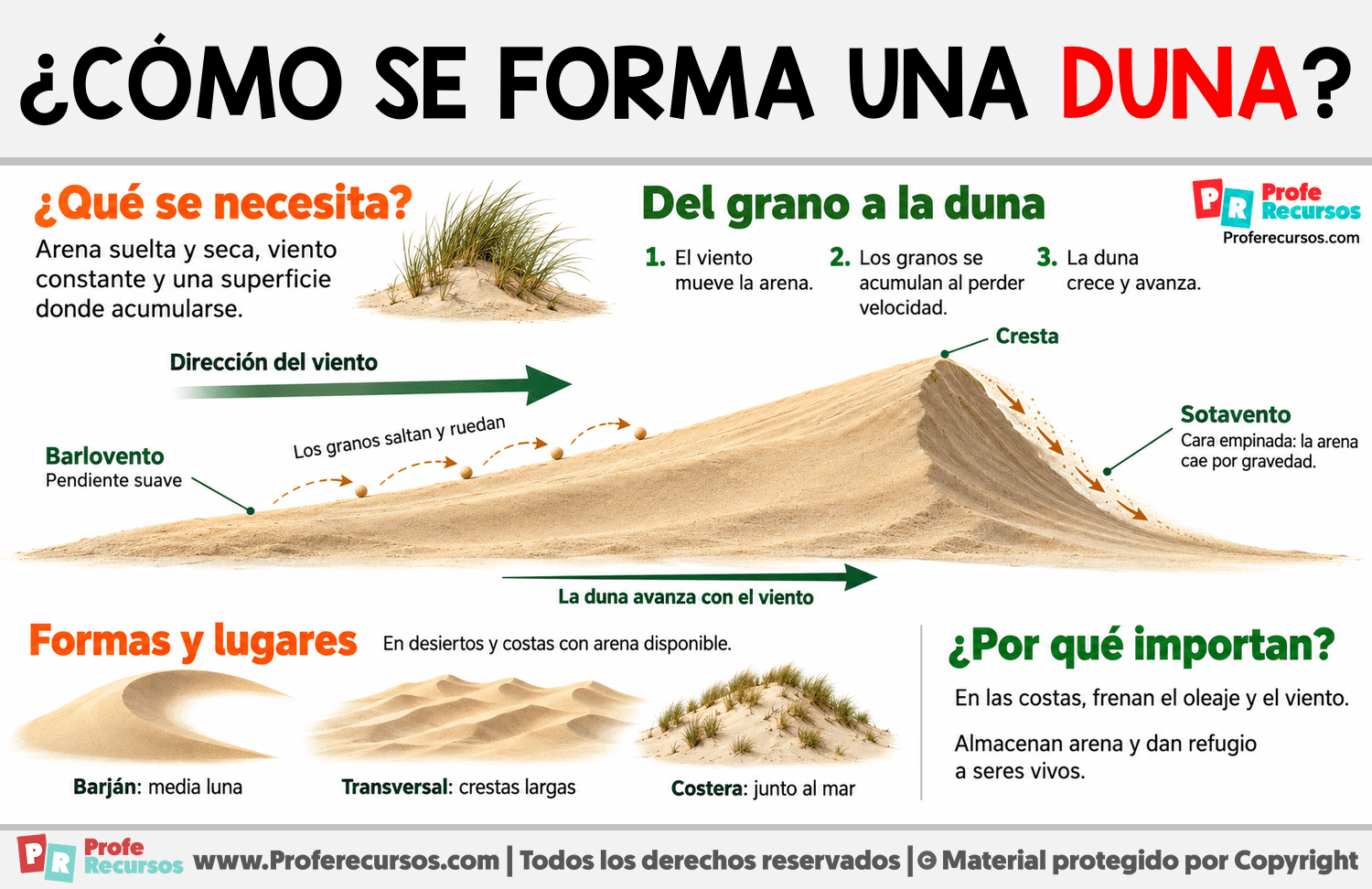 ¿Cómo se forma una duna? Infografia sobre ¿Cómo se forma una duna?