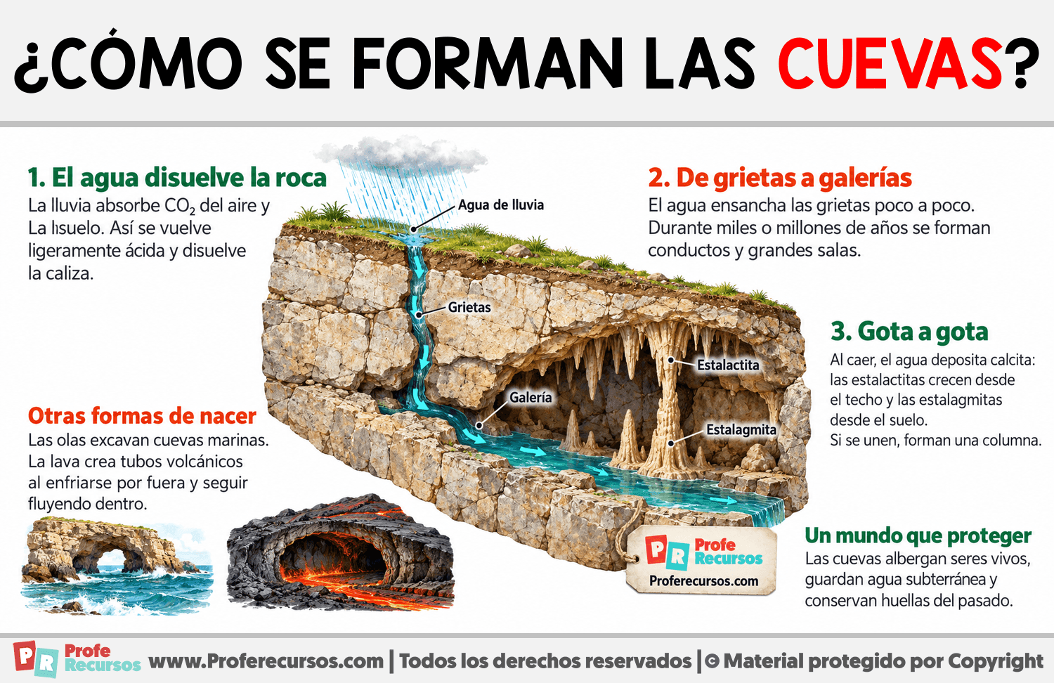 ¿Cómo se forman las cuevas? Infografia sobre ¿Cómo se forman las cuevas?