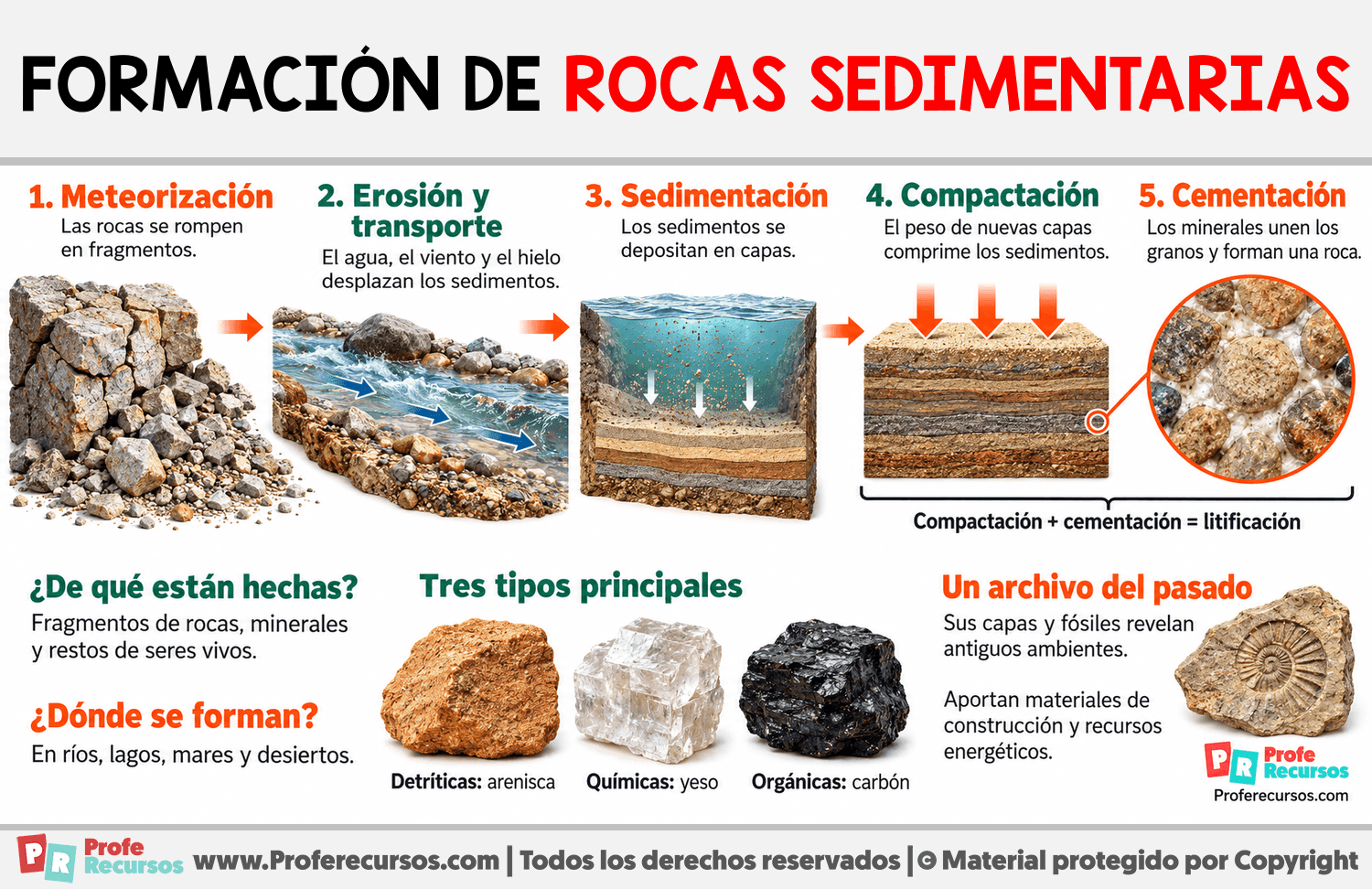 ¿Cómo se forman las rocas sedimentarias? Infografia sobre ¿Cómo se forman las rocas sedimentarias?