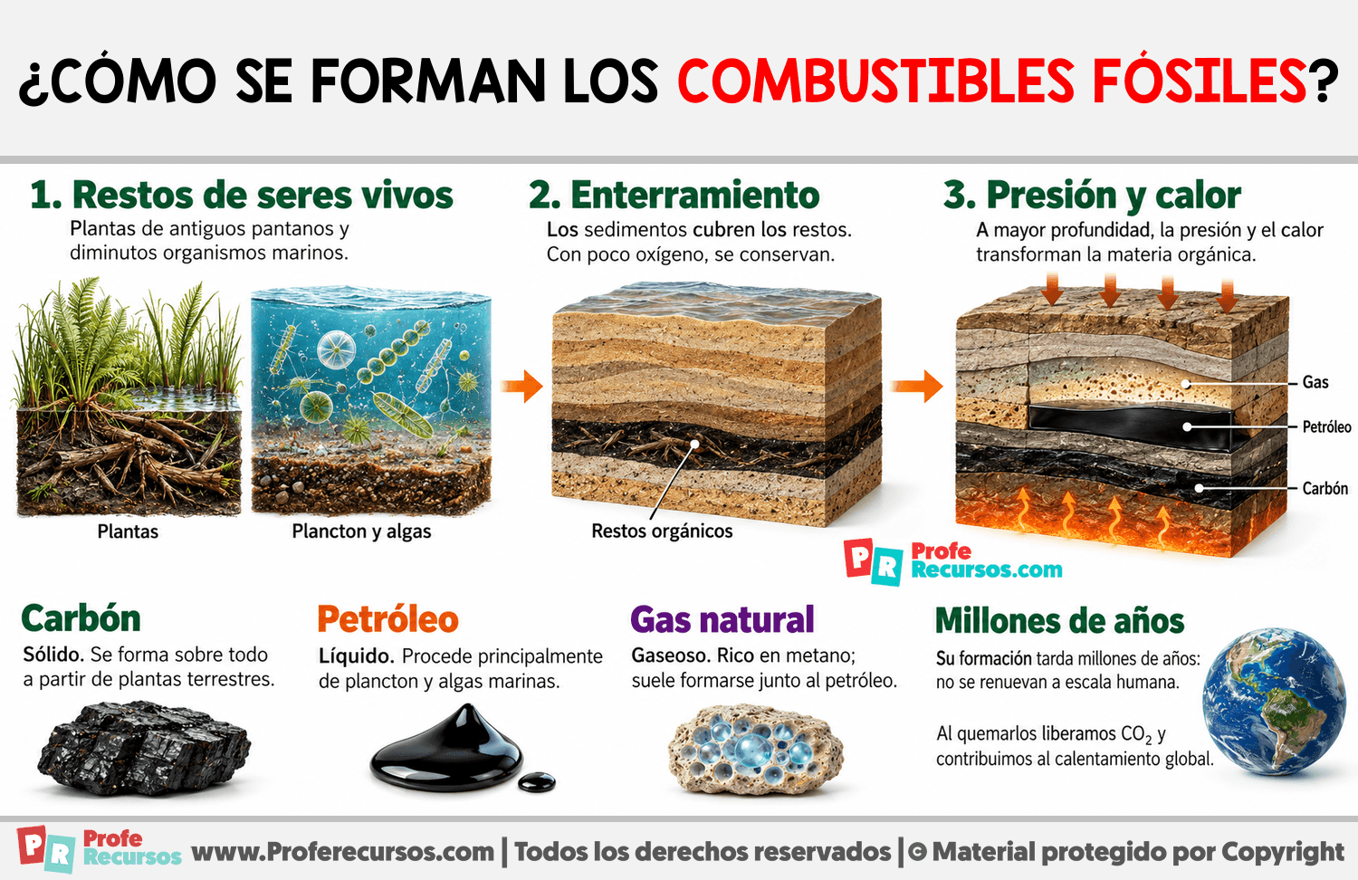 ¿Cómo se forman los combustibles fósiles? Infografia sobre ¿Cómo se forman los combustibles fósiles?