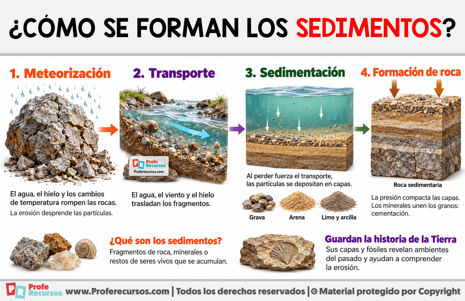 ¿Cómo se forman los sedimentos? Infografia sobre ¿Cómo se forman los sedimentos?