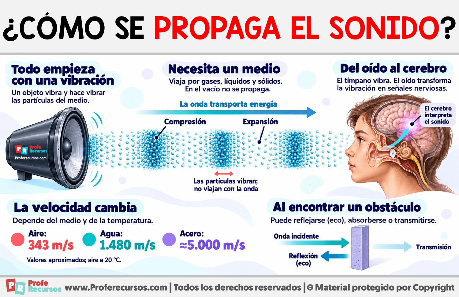 ¿Cómo se propaga el sonido? Infografia sobre ¿Cómo se propaga el sonido?
