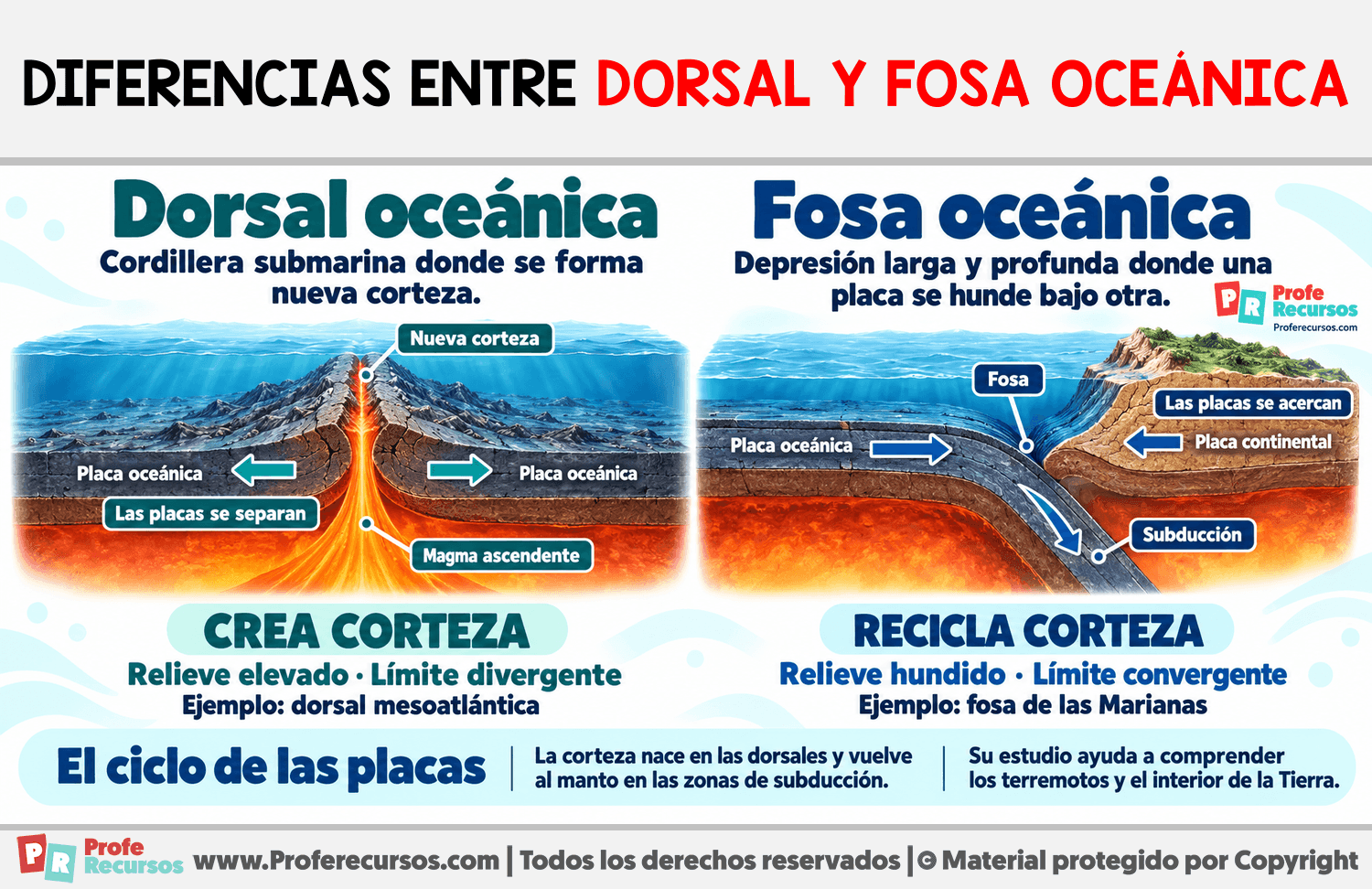Diferencias entre dorsal y fosa oceánica Infografia sobre Diferencias entre dorsal y fosa oceánica