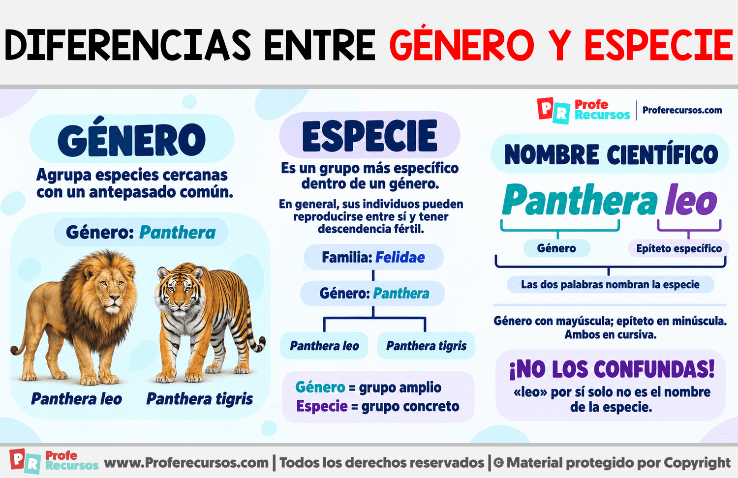 Diferencias entre género y especie Infografia sobre Diferencias entre género y especie