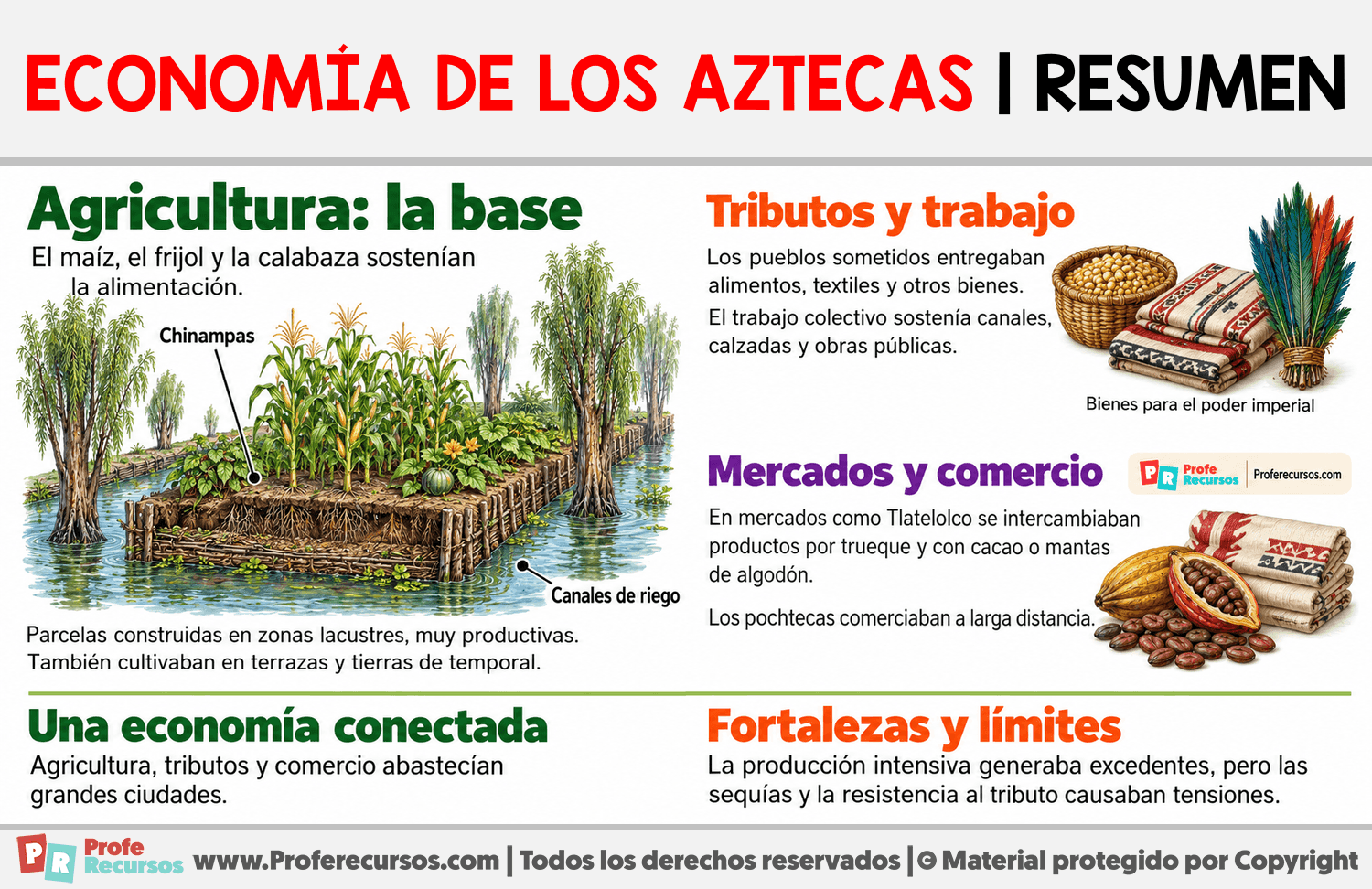 Economía de los aztecas | Resumen Infografia sobre Economía de los aztecas | Resumen