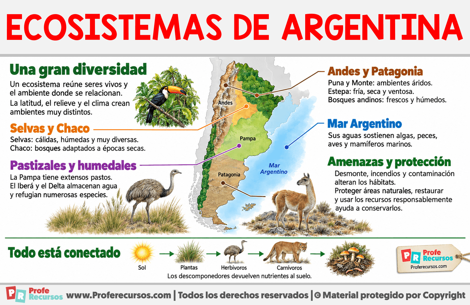 Ecosistemas de Argentina Infografia sobre Ecosistemas de Argentina