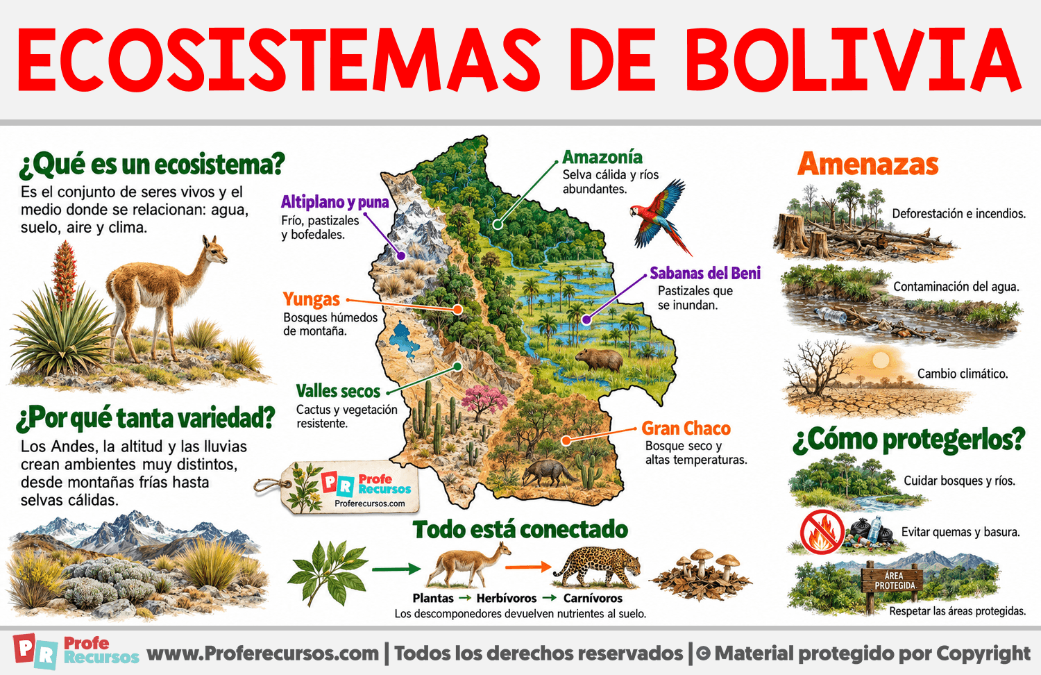 Ecosistemas de Bolivia Infografia sobre Ecosistemas de Bolivia